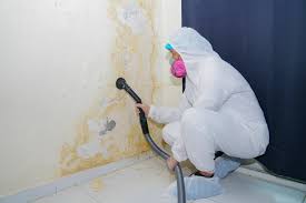 Best Mold Prevention Services  in Dundas, MN